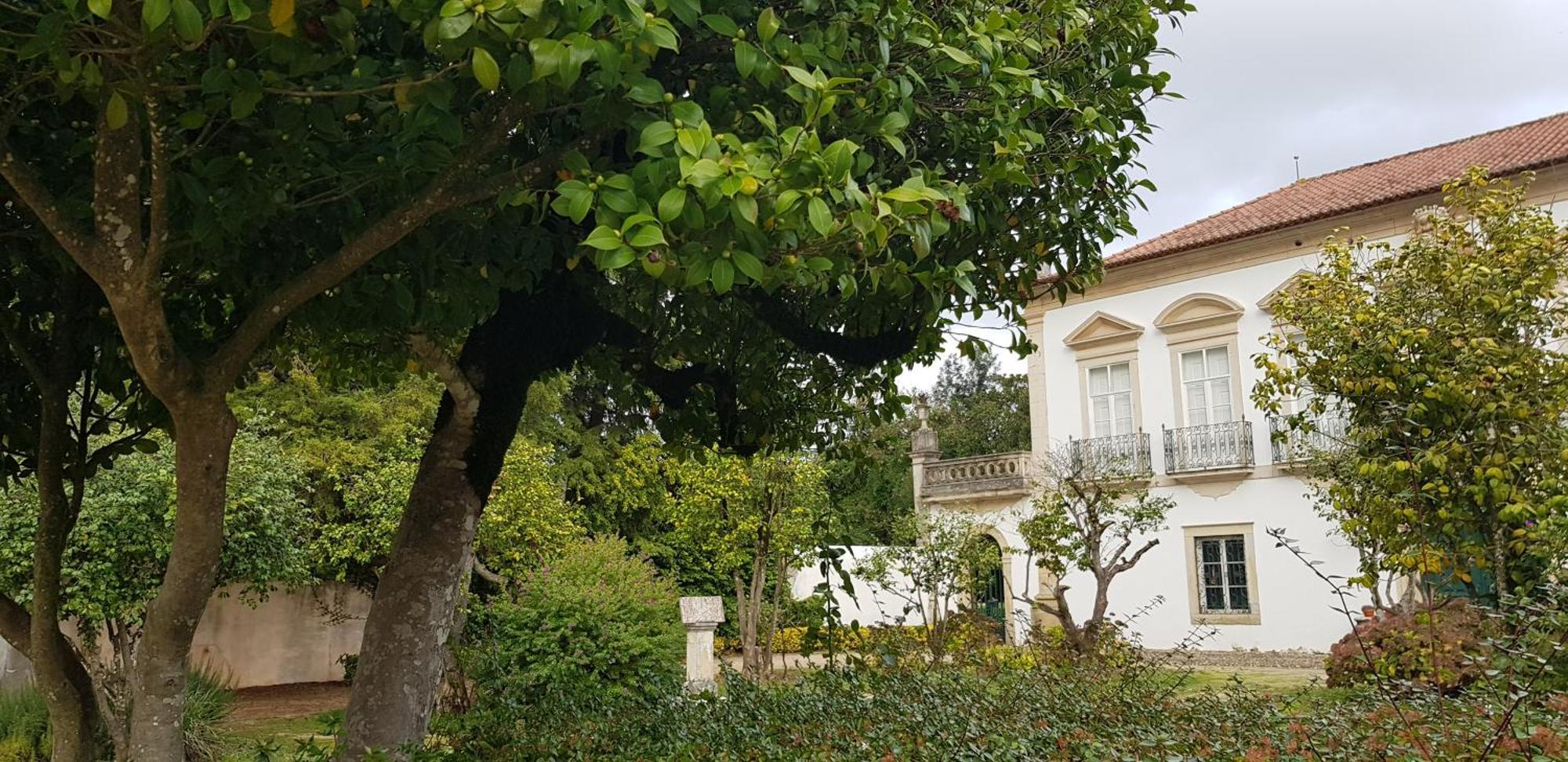 Palacio Da Portela III Coimbra Buitenkant foto
